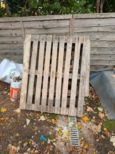 Photo of free Bulk bag & pallets (Widmore BR1) #1
