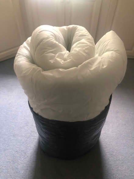 Photo of free Duvet (Ware SG12) #1