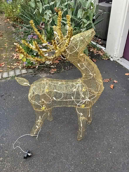 Photo of free Christmas reindeet (Kennedy road stop & shop,) #2