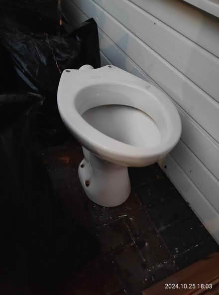 Photo of free Old toilet (Hampton) #1