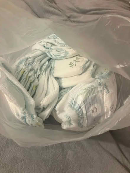Photo of free Pampers pull up pants (Roddinglaw EH28) #2