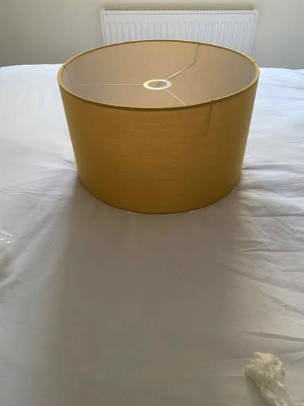 Photo of free Large shade mustard (Idle Bradford) #1