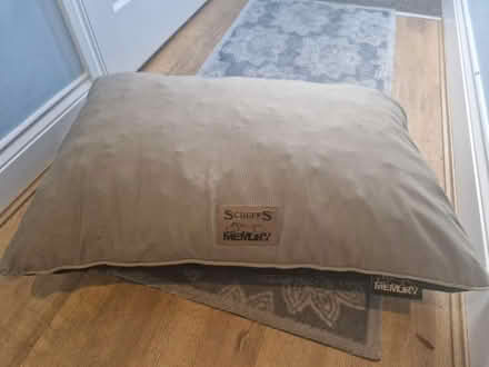 Photo of free Dog bed and assorted toys (NE12 West Moor) #1