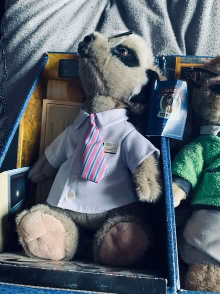 Photo of free meerkat teddies (Loughborough LE11) #2