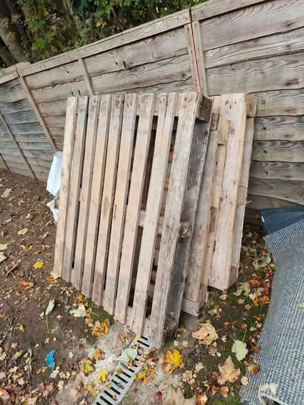 Photo of free Bulk bag & pallets (Widmore BR1) #2
