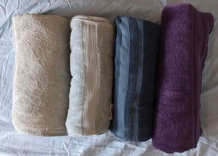Photo of free Costco Cotton Towels x 4 (N8 - Harringay Green Lanes) #1