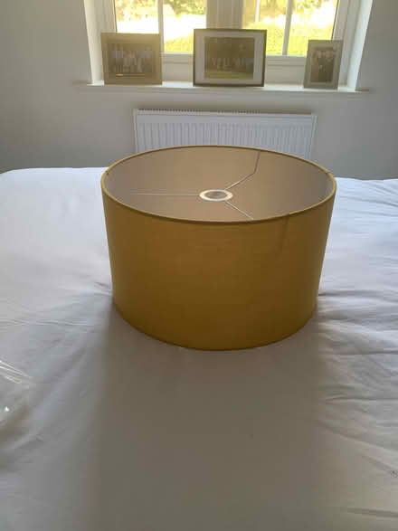 Photo of free Large shade mustard (Idle Bradford) #2
