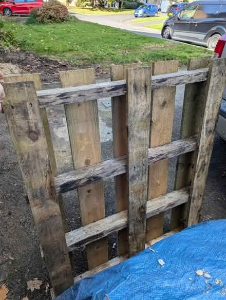 Photo of free Pallet (Weston Park) #2