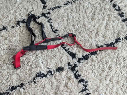 Photo of free Halti dog harness (Moortown LS17) #1