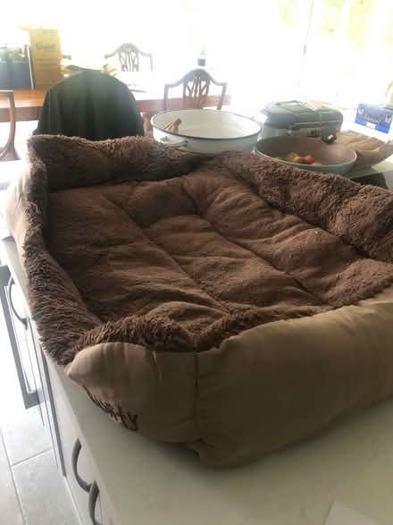 Photo of free Dog basket large (Ware SG12) #1