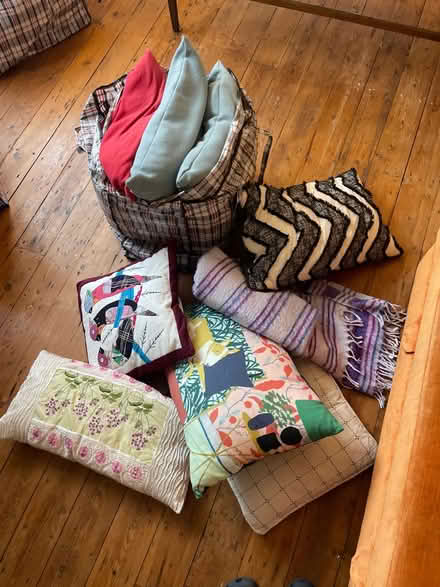 Photo of free Cushions and rug (N16) #1