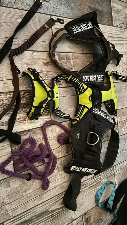 Photo of free Dog leads/harnesses (Woodingdean BN2) #1
