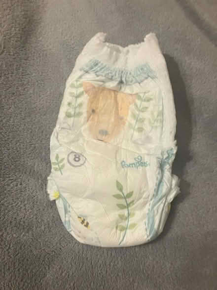 Photo of free Pampers pull up pants (Roddinglaw EH28) #1