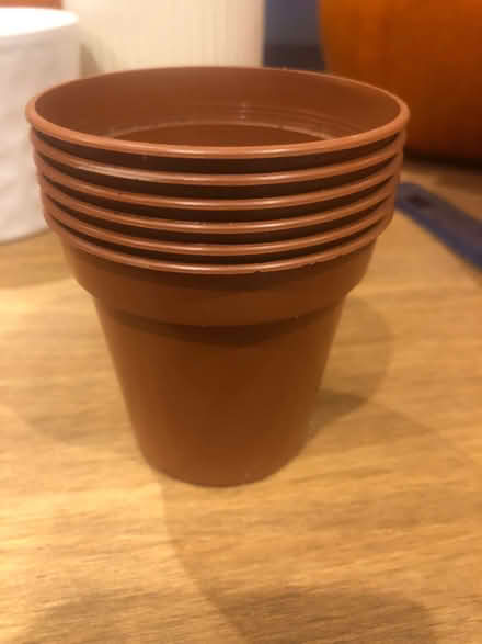 Photo of free 6x 3” plant pots (Barnard's Green WR14) #1