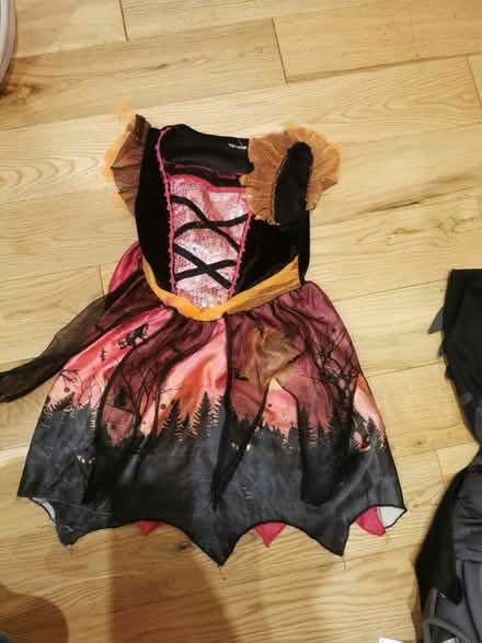 Photo of free Girls Halloween costume (Forest Hill) #1