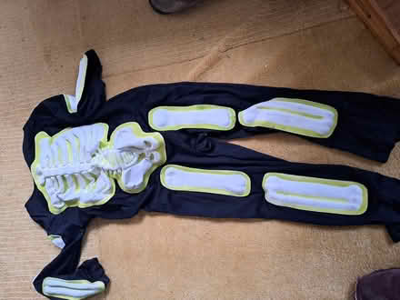 Photo of free Halloween outfits (Boarhunt PO17) #3