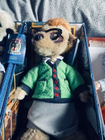 Photo of free meerkat teddies (Loughborough LE11) #3