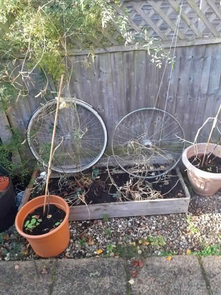 Photo of free Bike wheels (Crossland road) #1