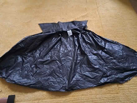 Photo of free Halloween outfits (Boarhunt PO17) #4