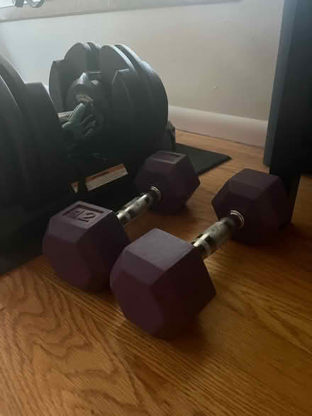 Photo of free 12lb weights (Carkeek) #1