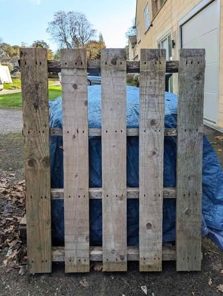 Photo of free Pallet (Weston Park) #1