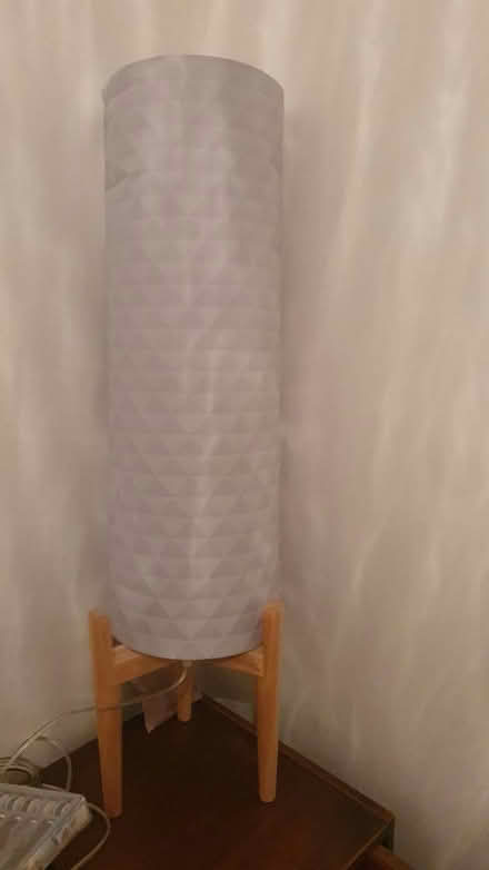 Photo of free Stand alone lamp (Heaton NE6) #1