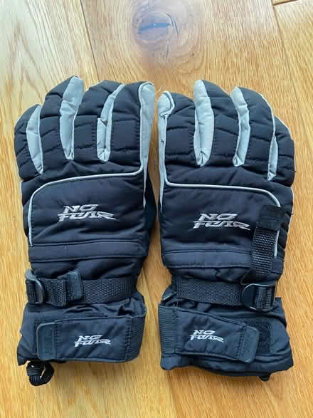 Photo of free Ski Gloves (Purley on Thames, RG8) #1