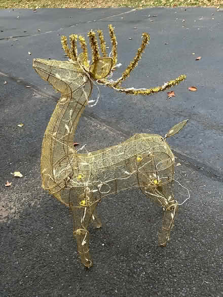 Photo of free Christmas reindeet (Kennedy road stop & shop,) #1