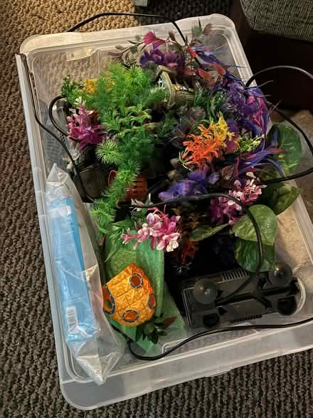 Photo of free Fish tank accessories (Blythe Bridge ST11) #1