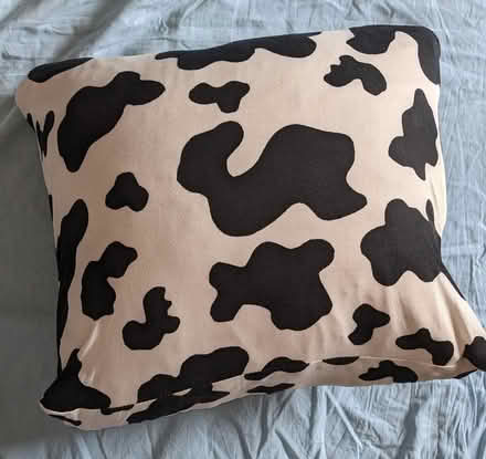 Photo of free Cow Sofa Pillow (N8 - Harringay Green Lanes) #1