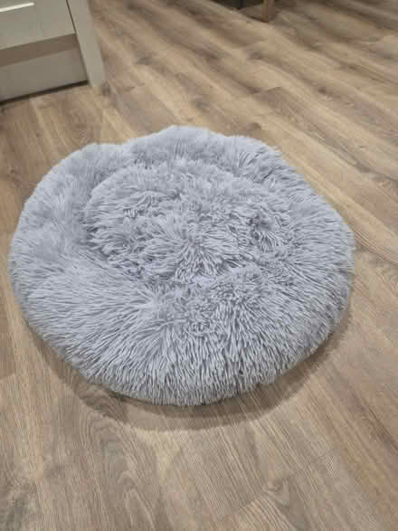 Photo of free Grey cat bed (Didcot, OX11) #1