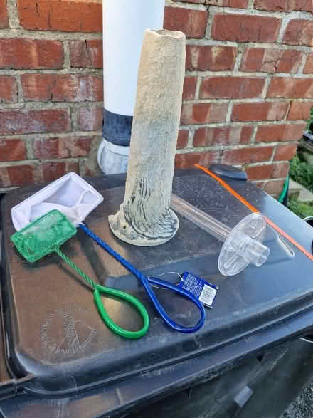 Photo of free Aquarium accessories (Selmeston BN26) #2