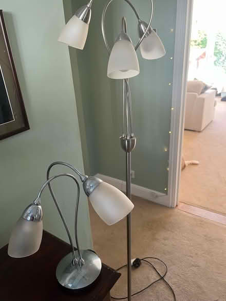 Photo of free Pair of lamps (Kelvedon, CO5) #1