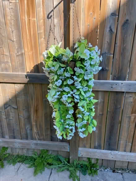 Photo of free Artificial flowers (Mississauga-South Common area) #1