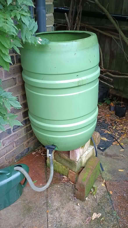 Photo of free Waterbutt (Teddington TW11) #2