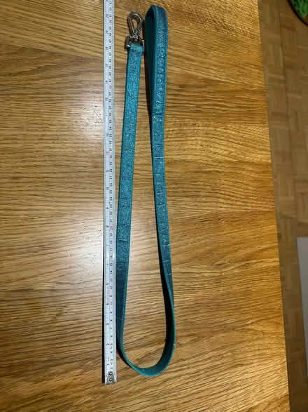 Photo of free Sparkly dog (small) collar and lead (The Hockering GU22) #1