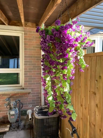 Photo of free Artificial flowers (Mississauga-South Common area) #3