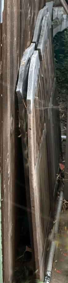 Photo of free Cedar screens (Alameda) #2