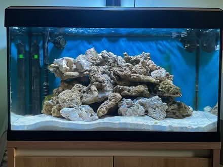 Photo of free Live Rock - for a saltwater aquarium (Hertford SG14) #1