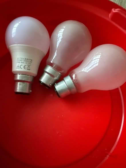 Photo of free Bulbs (B36) #1