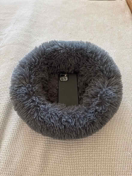 Photo of free Small pet fluffy “doughnut” basket (Foxholes SG13) #2