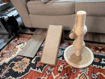 Photo of free Cat Scratching Posts (Oyster Point) #1