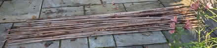 Photo of free 8ft (240cms) Bamboo Garden Canes x 50 (Wokingham RG40) #1