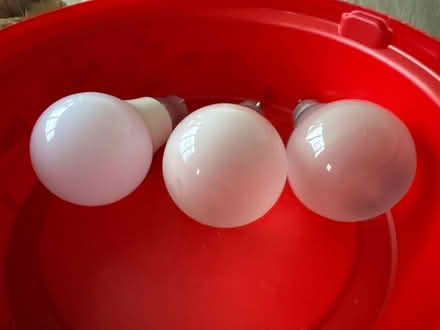 Photo of free Bulbs (B36) #2