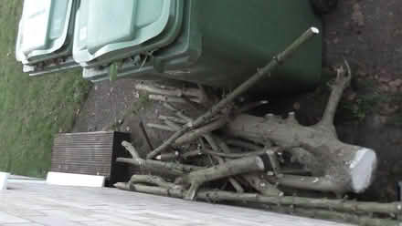 Photo of free logs (St Albans AL4) #3