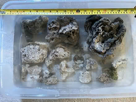 Photo of free Live Rock - for a saltwater aquarium (Hertford SG14) #2