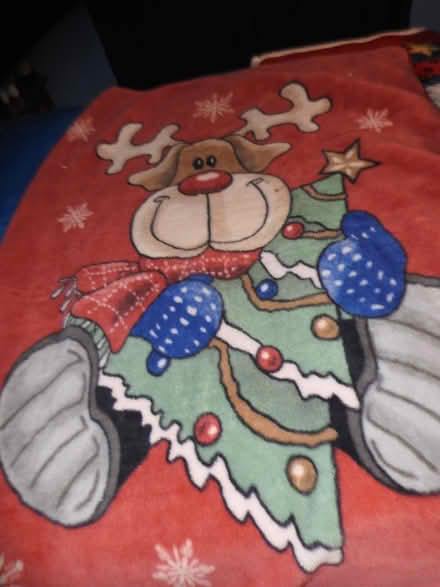 Photo of free Deer Blanket (Mavis and Rathburn) #1