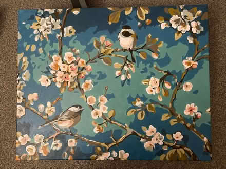 Photo of free Painting (SW19 8qz) #1