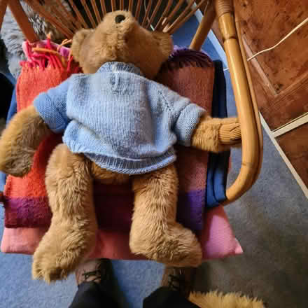 Photo of free Teddy in blue jumper (Raynes Park SW20) #1