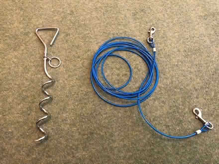 Photo of free Dog stay put stake and lead (SM4) #1